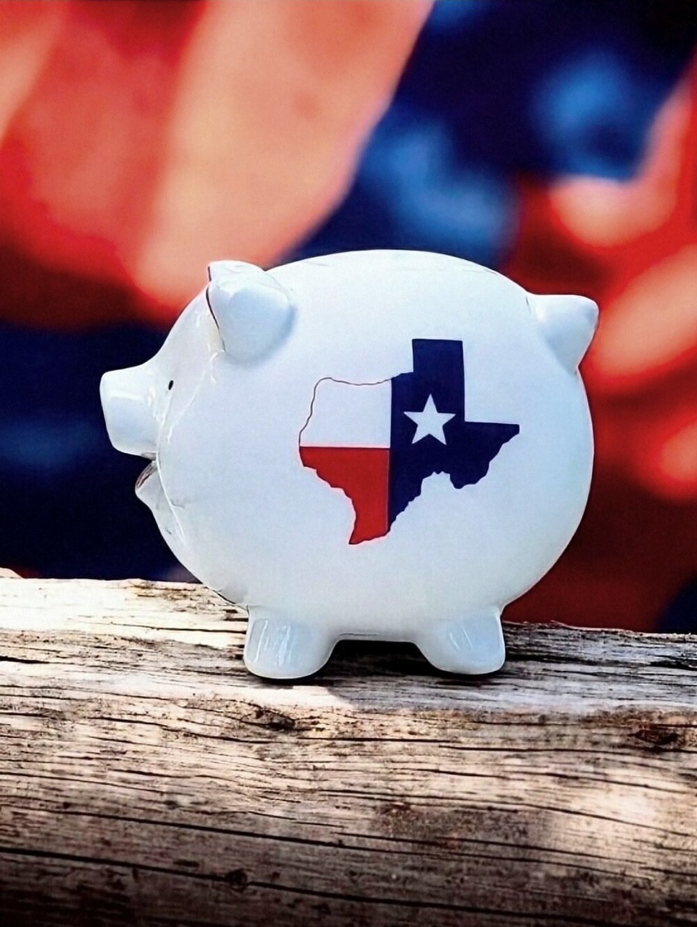 Texas Lone Star State Ceramic Happy L'il Pig Piggy Bank